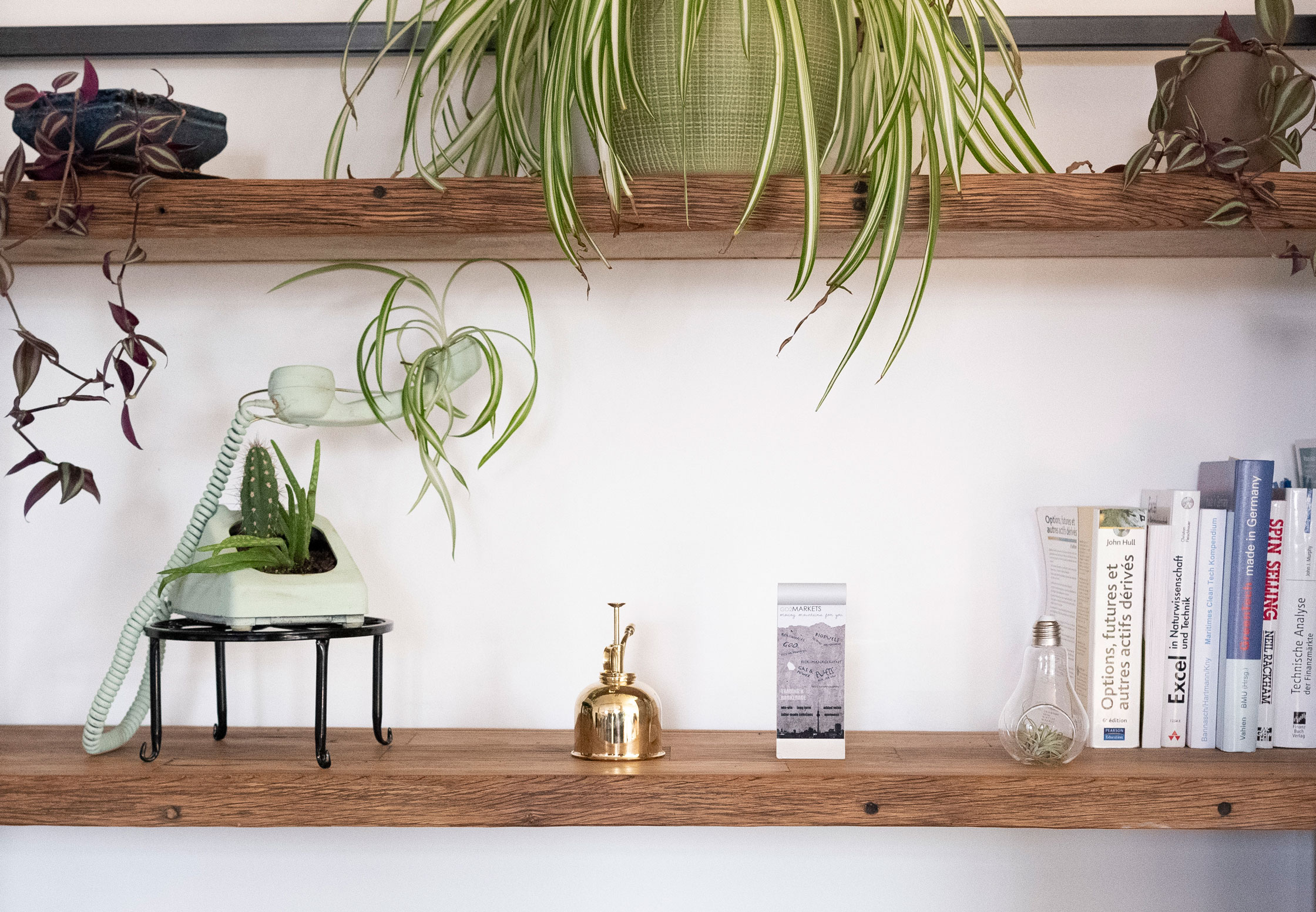 A phone, plants, books, and small decorations on a wooden shelf